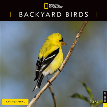 National Geographic Backyard Birds 2024 Wall Calendar - National Geographic Author 