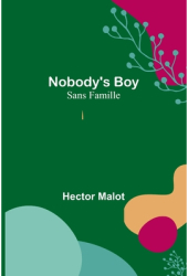 Nobody s Boy Sans Famille - Hector Malot Author 