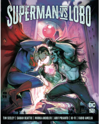 Superman vs Lobo - Tim Seeley Author 
