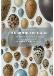 The Book of Eggs A Lifesize Guide to the Eggs of Six Hundred of the World s Bird Species - Mark E Ha 