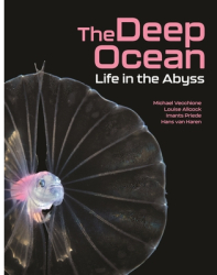 The Deep Ocean Life in the Abyss - Louise Allcock Author 