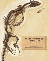 The Lost World of Fossil Lake Snapshots from Deep Time - Lance Grande Author 