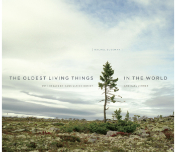 The Oldest Living Things in the World - Rachel Sussman Author 