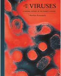 Viruses A Natural History - Marilyn J Roossinck Author 