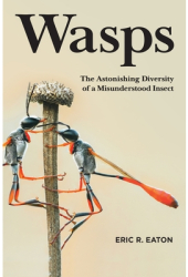 Wasps The Astonishing Diversity of a Misunderstood Insect - Eric R Eaton Author 
