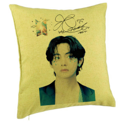 Perna Decorativa BTS Army Colorat 40x40 cm Verde Husa Detasabila Burduf 