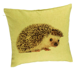 Perna Decorativa Model Arici 40x40 cm Verde Husa Detasabila Burduf 