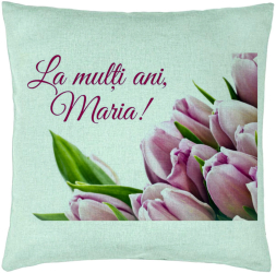Perna Decorativa Model La multi ani Maria 40x40 cm Verde Menta Husa Detasabila Burduf 