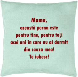 Perna Decorativa Model Pentru Mama Te iubesc 3 40x40 cm Verde Menta Husa Detasabila Burduf 
