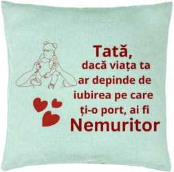 Perna Decorativa Model pentru Tata 2 40x40 cm Verde Menta Husa Detasabila Burduf 