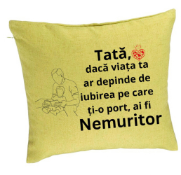 Perna Decorativa Model pentru Tata 8 40x40 cm Verde Husa Detasabila Burduf 