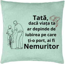 Perna Decorativa Model pentru Tata 9 40x40 cm Verde Menta Husa Detasabila Burduf 