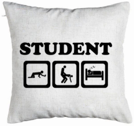 Perna Decorativa Model Student 40x40 cm Alb Murdar Husa Detasabila Burduf 
