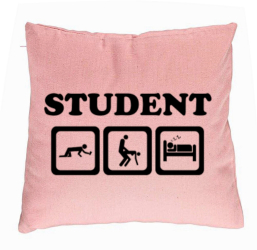 Perna Decorativa Model Student 40x40 cm Roz Husa Detasabila Burduf 