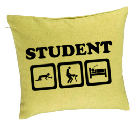 Perna Decorativa Model Student 40x40 cm Verde Husa Detasabila Burduf 