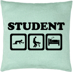 Perna Decorativa Model Student 40x40 cm Verde Menta Husa Detasabila Burduf 