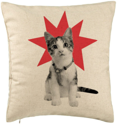 Perna Decorativa Model Super Cat 40x40 cm Bej Husa Detasabila Burduf 
