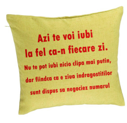 Perna Decorativa Model Ziua Indragostitilor 40x40 cm Verde Husa Detasabila Burduf 