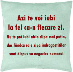 Perna Decorativa Model Ziua Indragostitilor 40x40 cm Verde Menta Husa Detasabila Burduf 