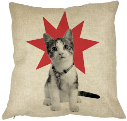Perna Decorativa Patrata Super Cat 40x40 cm Husa Detasabila Burduf 