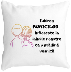 Perna Decorativa pentru Bunici 10 40x40 cm Alba Mata Husa Detasabila Burduf 