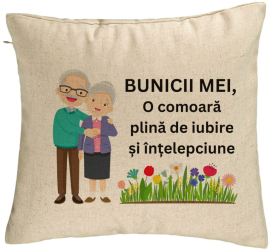 Perna Decorativa pentru Bunici 4 40x40 cm Bej Husa Detasabila Burduf 