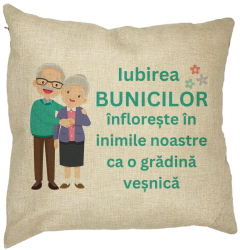 Perna Decorativa pentru Bunici 5 40x40 cm Husa Detasabila Burduf 