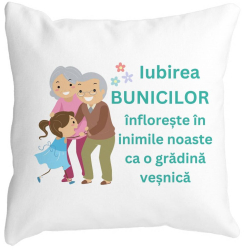 Perna Decorativa pentru Bunici 6 40x40 cm Alba Mata Husa Detasabila Burduf 