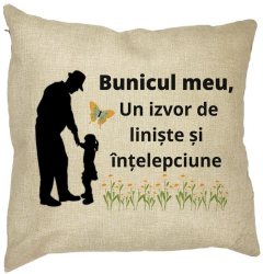 Perna Decorativa pentru Bunicul 5 40x40 cm Husa Detasabila Burduf 