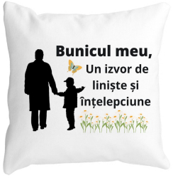 Perna Decorativa pentru Bunicul 6 40x40 cm Alba Mata Husa Detasabila Burduf 