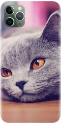Husa din silicon compatibila cu Apple iPhone 11 Pro - model British Shorthair Cat 