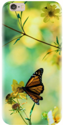 Husa din silicon compatibila cu Apple iPhone 5C - model Butterfly 001 