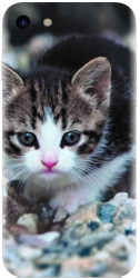 Husa din silicon compatibila cu Apple iPhone 8 - model Animal Cat 