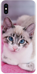Husa din silicon compatibila cu Apple iPhone X - model Siamese Kitty 
