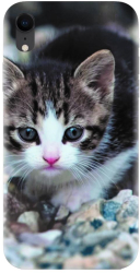 Husa din silicon compatibila cu Apple iPhone XR - model Animal Cat 