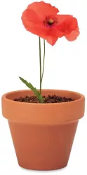 Floare de mac ghiveci ceramica si seminte de plantat 