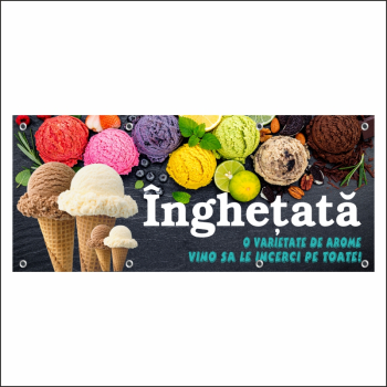 Banner MEDIA Inghetata model 1 250 x 100 cm 