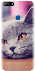 Husa din silicon compatibila cu Huawei Y7 2018 - model British Shorthair Cat 