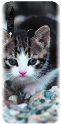 Husa din silicon compatibila cu Huawei Y9 2019 - model Animal Cat 