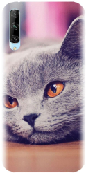 Husa din silicon compatibila cu Huawei Y9s - model British Shorthair Cat 