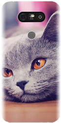 Husa din silicon compatibila cu Lg G5 - model British Shorthair Cat 