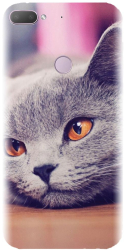 Husa din silicon compatibila cu Htc Desire 12 Plus - model British Shorthair Cat 
