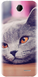 Husa din silicon compatibila cu Htc Desire 310 - model British Shorthair Cat 