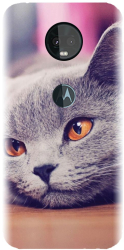Husa din silicon compatibila cu Motorola Moto Z3 Play - model British Shorthair Cat 