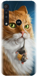 Husa din silicon compatibila cu Motorola One Macro - model Traieste Clipa 