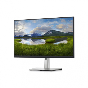 Monitor Dell 24 P2423D 60.45 cm TFT LCD IPS 2560 x 1440 at 60 Hz 16 9 