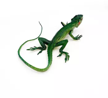 Cameleon Fals cubanez figurina 23 cm 