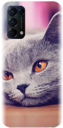 Husa din silicon compatibila cu Oppo Reno 5 PRO 5g - model British Shorthair Cat 