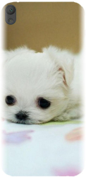 Husa din silicon compatibila cu Sony Xperia E5 - model Puppies 001 