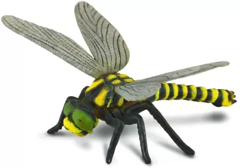Libelula - collecta 